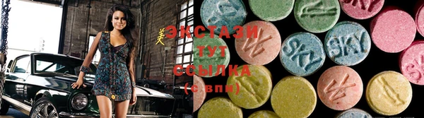 стафф Дубна