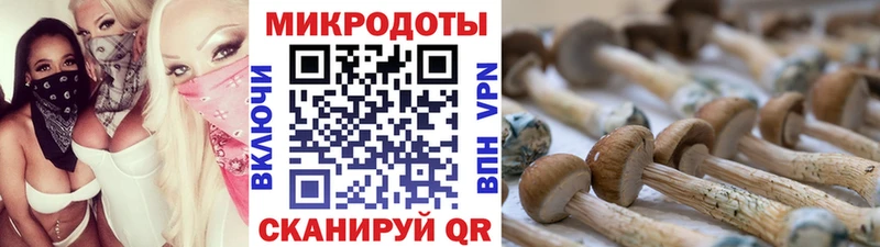Галлюциногенные грибы Magic Shrooms  Катайск 